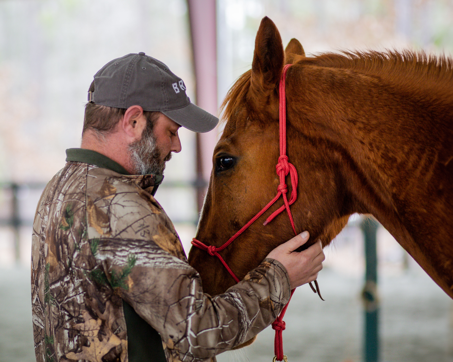 Equine Assisted Psychotherapy and Learning at BRBR