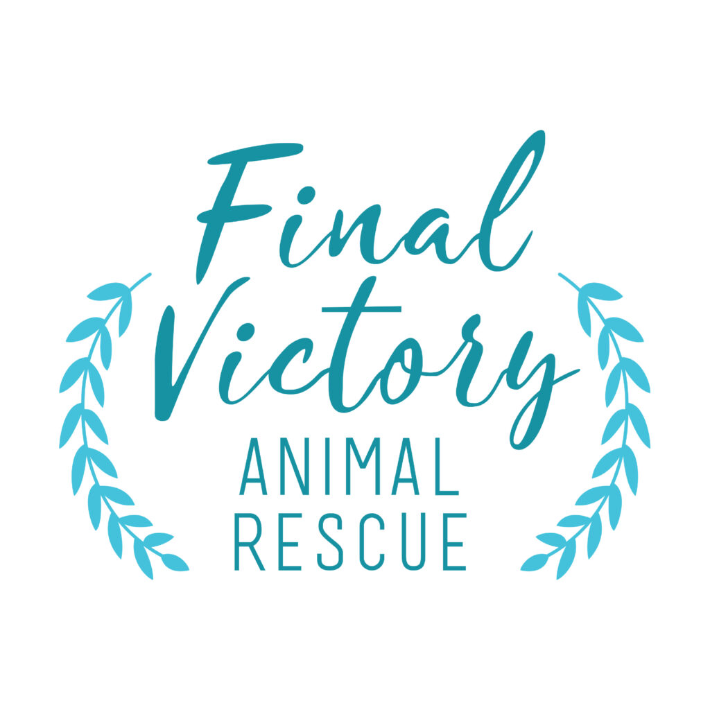 Final Victory Animal Rescue logo with blue laurel branches on each side and teal script text.