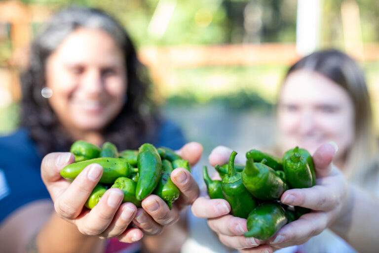 Two people holding handfuls of fresh green peppers, smiling outdoors with a blurred background.